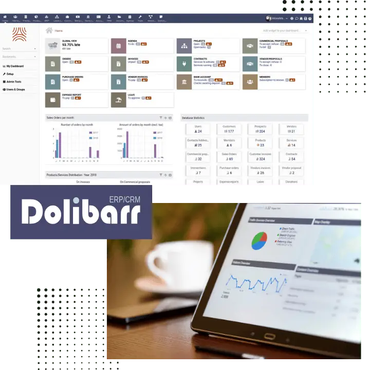 service erp - dolibar